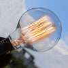 Vintage Edison Filament Light Bulb